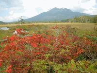 ���P�x�ƏH�B